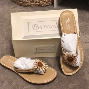 Bernardo flip flops